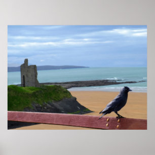 Póster poster de vista de pájaros