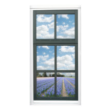 Poster de vista de ventana de las flores de hidrac