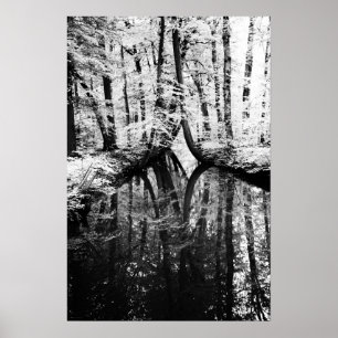 Póster Poster de wapcn de contraste reflectante