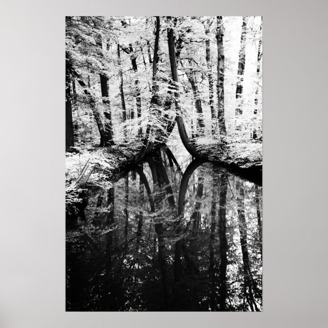 Póster Poster de wapcn de contraste reflectante (Frente)