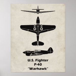 Póster Poster de Warhawk P-40