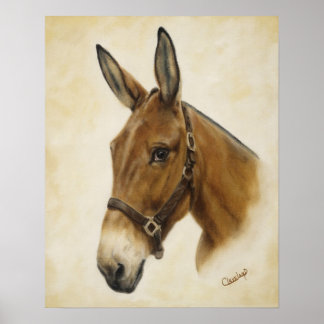 Póster Poster de Western Mule