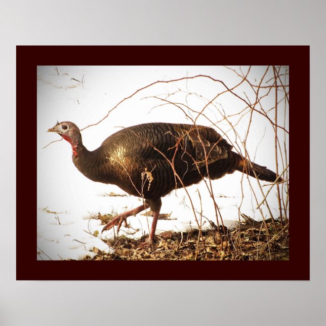 Póster Poster de Wild Turkey (Frente)