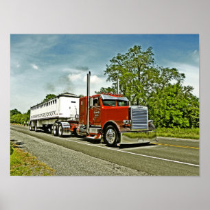 Póster Poster de Williamson en el FLC