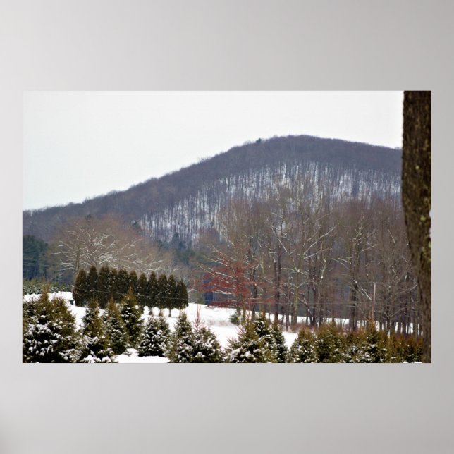 Póster Poster de Winter Mountain View (Frente)