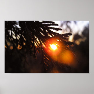 Póster Poster de Winter Sun