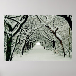 Póster Poster de Winter Walk