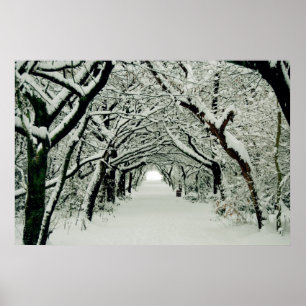 Póster Poster de Winter Walk