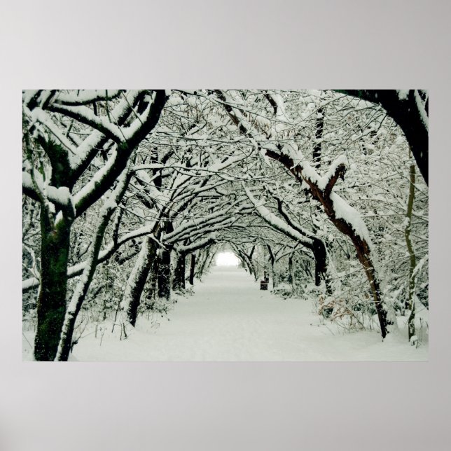 Póster Poster de Winter Walk (Frente)