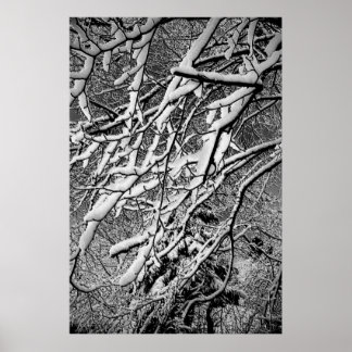 Póster Poster de Wonder Winter - 1