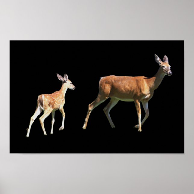 Póster Poster Deer (Frente)