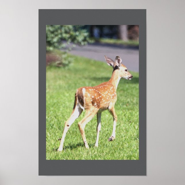 Póster Poster Deer (Frente)