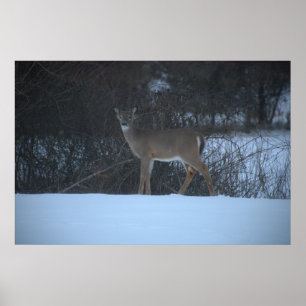 Póster Poster Deer in Snow