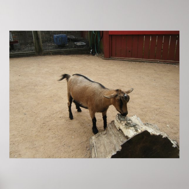 Póster Poster del 3 de abril (11) (Frente)