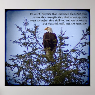 Póster Poster del 40:31 de Isaías