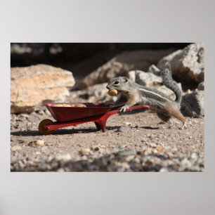 Póster Poster del agricultor de ardillas