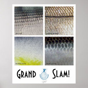 Póster Poster del agua salada del Grand Slam