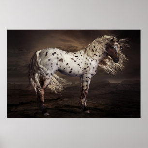 Póster Poster del Appaloosa del leopardo