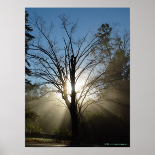 Póster Poster del árbol de la epifanía
