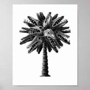 Póster Poster del Árbol de palmas de terror blanco negro