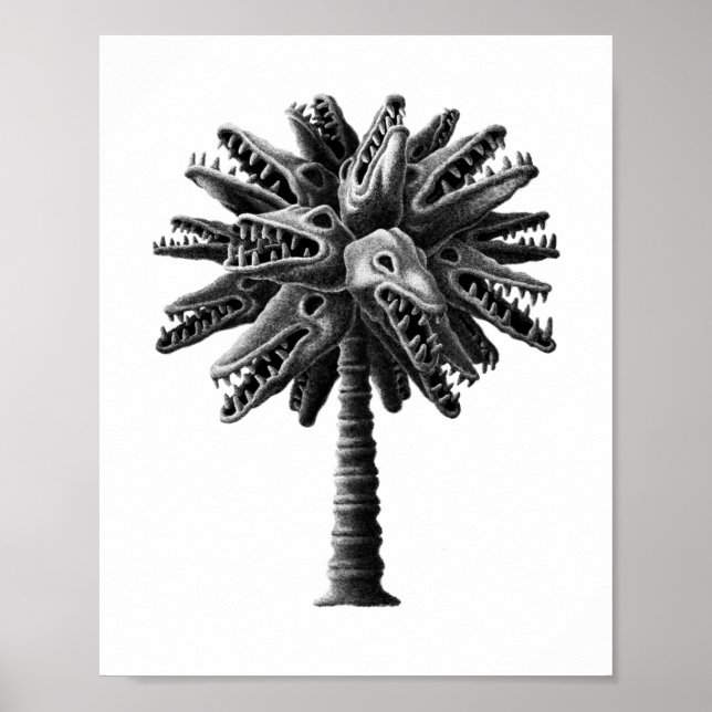 Póster Poster del Árbol de palmas de terror blanco negro (Frente)