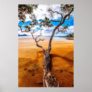 Póster Poster del árbol de Pohutukawa de la bahía de
