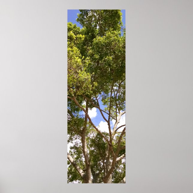 Póster Poster del árbol florida de curvas altas (Frente)