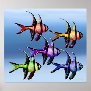 Póster Poster del arco iris del Cardinalfish de Banggai