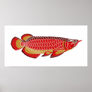 Póster poster del arowana