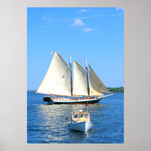Póster poster del barco del schooner y de la langosta