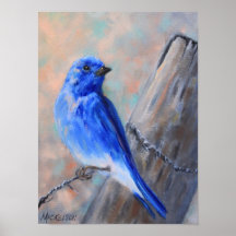Poster del Bella Artes de Mountain Bluebird