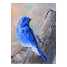 Poster del Bella Artes de Mountain Bluebird
