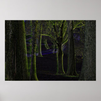 Póster Poster del bosque oscuro