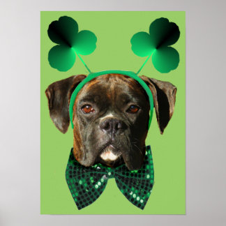 Póster Poster del Boxer del Día de San Patricio