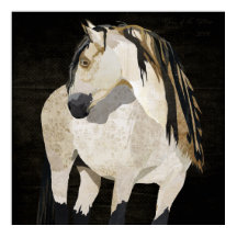 Poster del caballo blanco