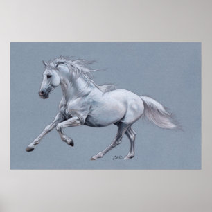 Póster Poster del caballo blanco
