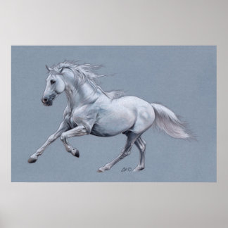 Póster Poster del caballo blanco