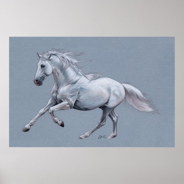 Póster Poster del caballo blanco (Frente)