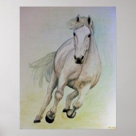 Póster Poster del caballo blanco