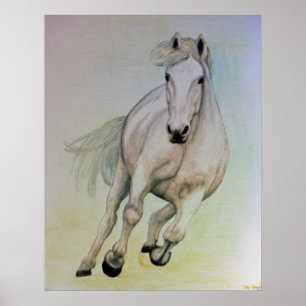 Póster Poster del caballo blanco