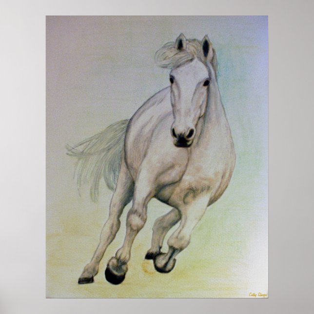 Póster Poster del caballo blanco (Frente)