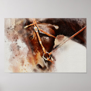 Póster Poster del caballo de la acuarela