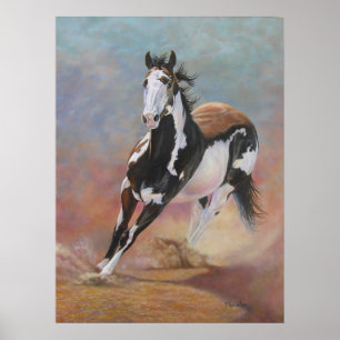 Póster Poster del caballo - Sammy