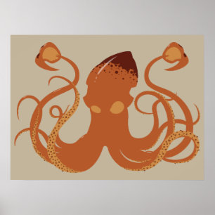 Póster Poster del calamar del gigante vector