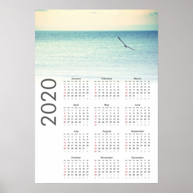 Póster Poster del Calendario de Gaviotas 2020 (Frente)