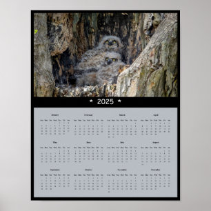Póster poster del calendario de la Gran Pared de Búho de