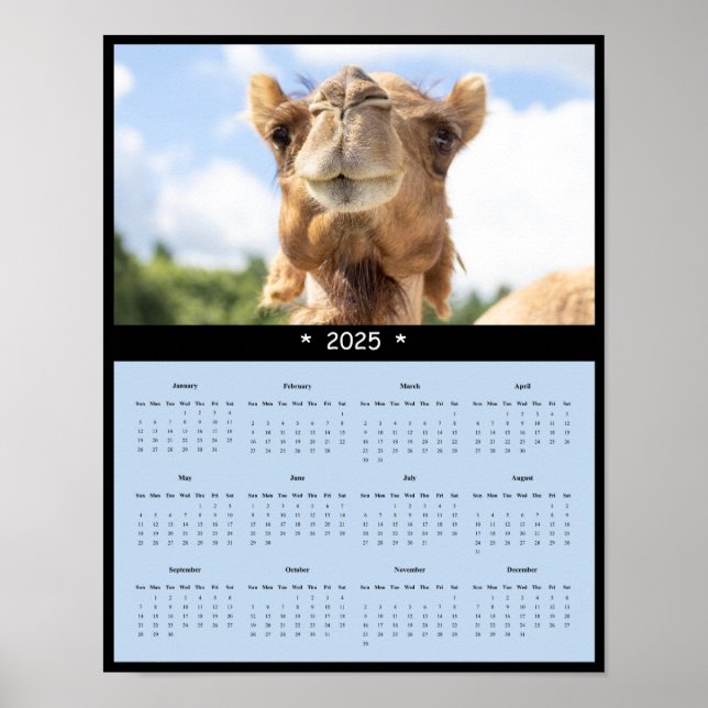 Póster poster del Calendario de Muro de Camel 2025 (Frente)