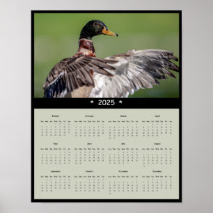Póster poster del calendario de muros de pato mallard 202