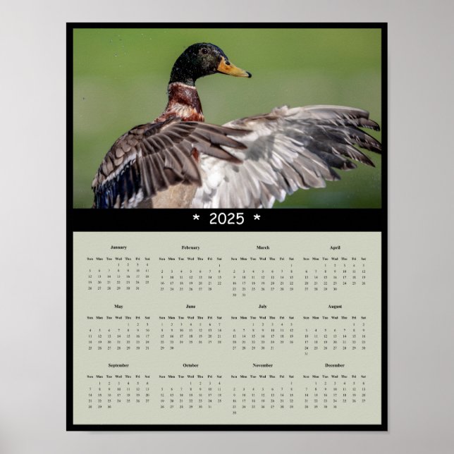Póster poster del calendario de muros de pato mallard 202 (Frente)