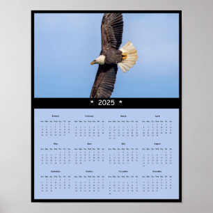 Póster poster del Calendario de Pared de Águila Calva 202